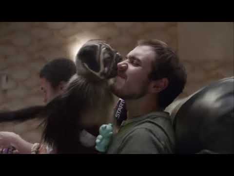 Mountain Dew׃ "Puppy Monkey Baby" - 2016 Super Bowl Commercial