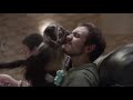 Mountain Dew Puppy Monkey Baby 2016 Super Bowl Commercial