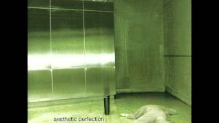 Aesthetic Perfection - Architect