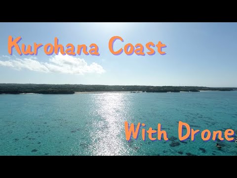 【ヨロン島紹介】空からの黒花海岸沖
