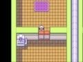 Pokemon Weight Gain Version Beta Test 2