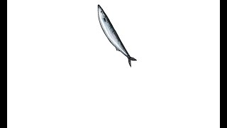 【艦これ】艦これ2021秋イベ？E1-1【よくわかってないけど秋刀魚海域に行く】