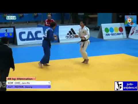 Jun-Ho Cho (KOR) - Georg Reiter (AUT) [-66kg]