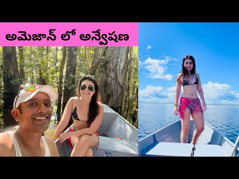 Novo Airão Amazonas | Amazon Rainforest | Amazon River