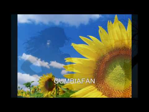 LOS GIRASOLES, CHICA ENAMORADA