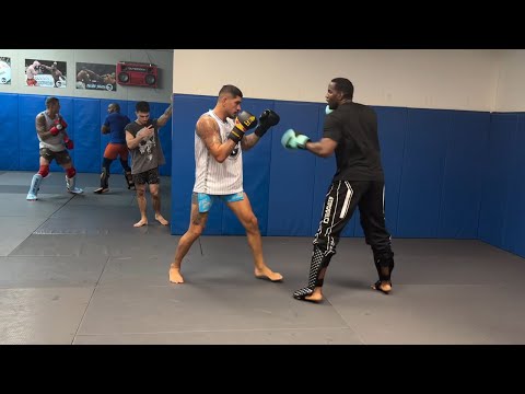 Treino com o Ex-UFC Robelis Despaigne PESO PESADO