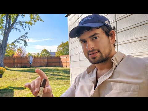 If you can see this you're retarded and that's good news