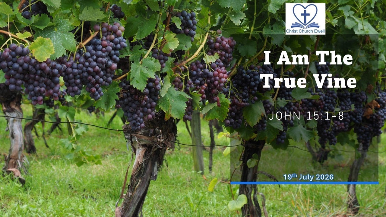 "I AM" sayings of Jesus - Part 7: "I am the True Vine" - John 15 v 1-8 (19th July 2026)