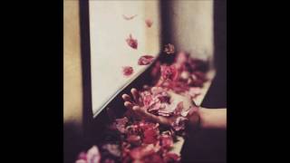 Petre Inspirescu - Miroslav 3 - Vîntul Prin Salcii LP - [MULECD056] - 2017