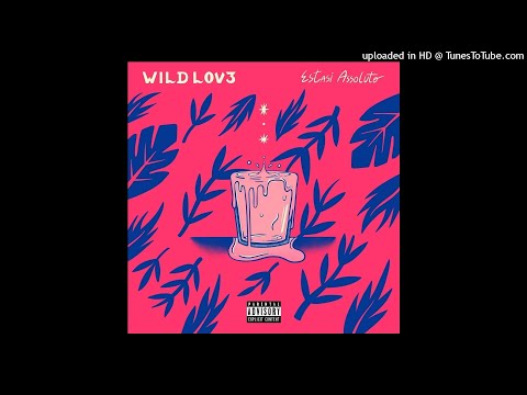 ESTASI ASSOLUTO - WILDLOV3 (ALBUM COMPLETO)