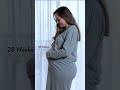 My TWIN pregnancy tummy 🤗🥰 Week to week growth #shorts #twins #pregnancy