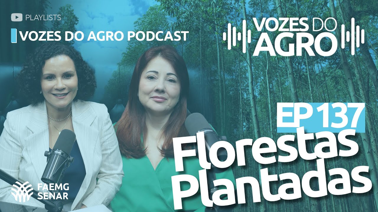 EP 137 - Vozes do Agro | FLORESTAS PLANTADAS: Investindo em um FUTURO SUSTENTÁVEL