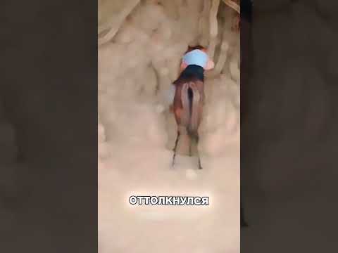 Парень показал как нужно работать с ЖЕРЕБЦАМИ😳🔥🥰