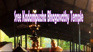 Temple video
