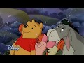 The New Adventures Of Winnie The Pooh Mandarin Intro Version 2 1