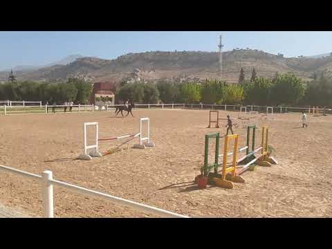 Equitation Concours Saut d'Obstacles