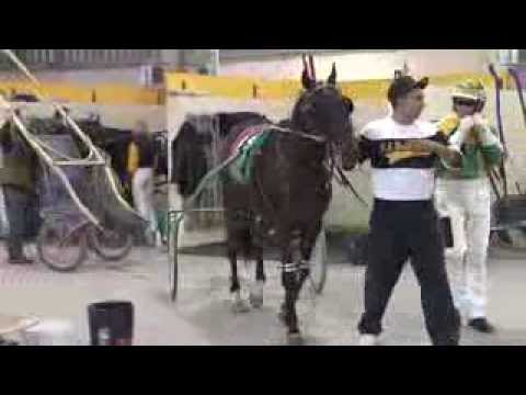 PA HarnessWeek Episode #220 (Nov. 30, 2013)