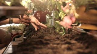 Colbie Caillat   Brighter Than The Sun