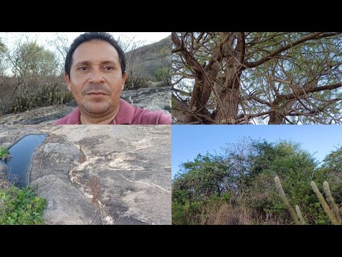 HOJE DEU UMA CHUVINHA AQUI NA CIDADE DE OCARA CEARÁ TUDO MUITO LINDO 