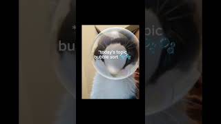 Bubble Sort Algorithm in 93 sec....(Xplained)