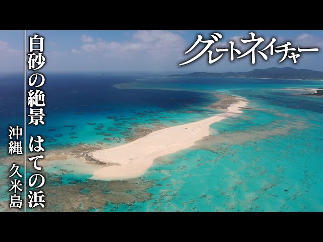 久米島マリンスポーツクラブ