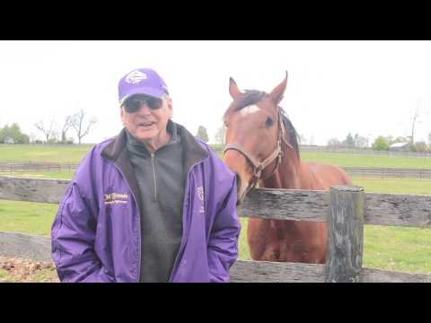 Old Friends Virtual Tour - Patch & Stormy Liberal