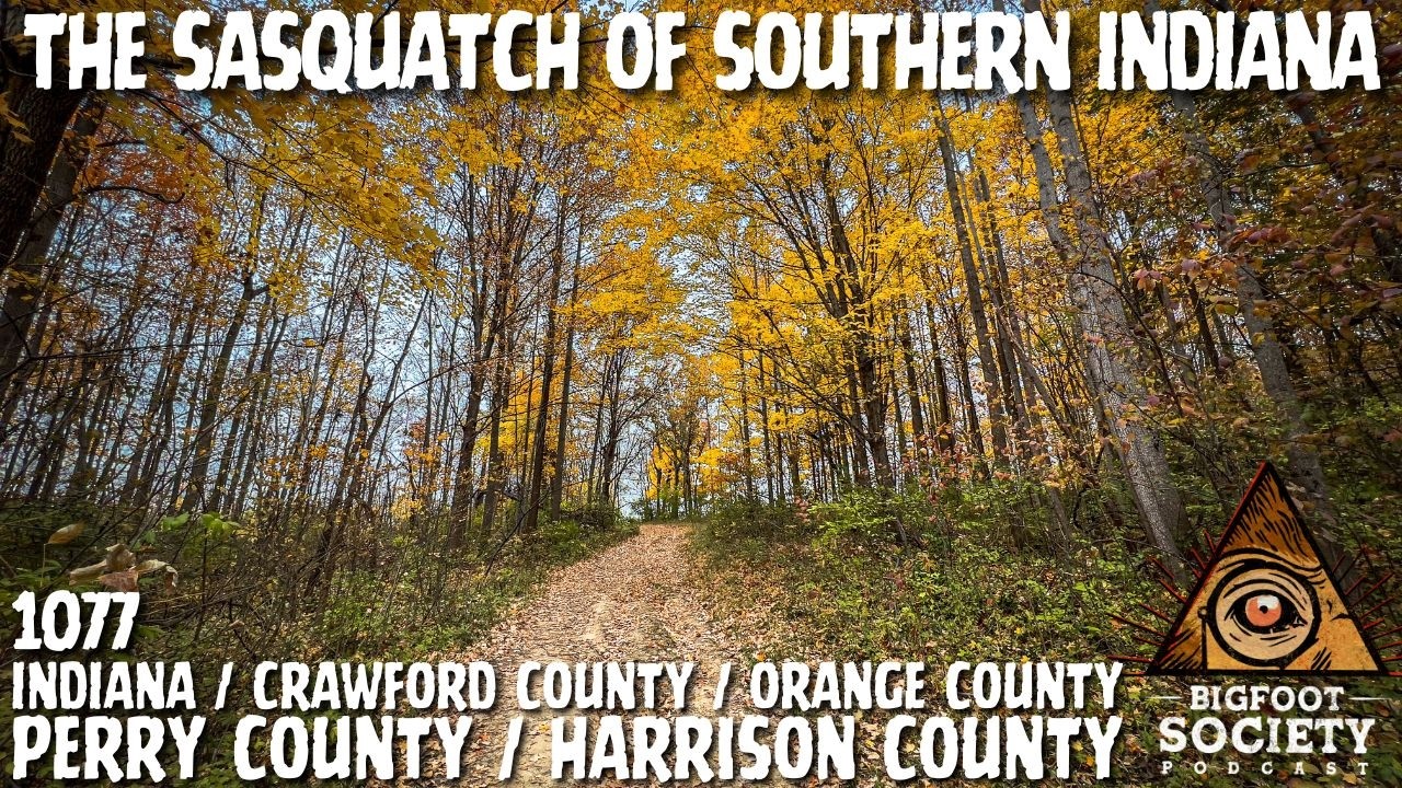 A Couple Shares Years Of Encounters Deep In Indiana’s Hoosier National Forest