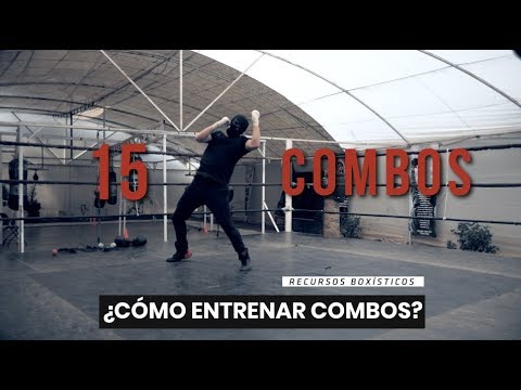 15 Effective Combos and How to Train Them