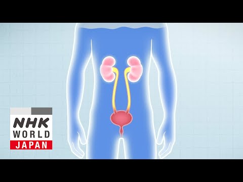 Preventing Life-Threatening Chronic Kidney Disease