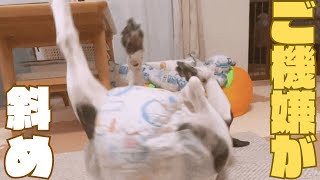 これじゃドラマも見れないw