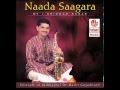 Himagiri Tanaye - Suddha Dhanyasi - Naada Saagara ( Carnatic Instrumental )