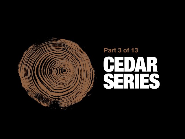 What Are the Best Uses for Western Red Cedar?