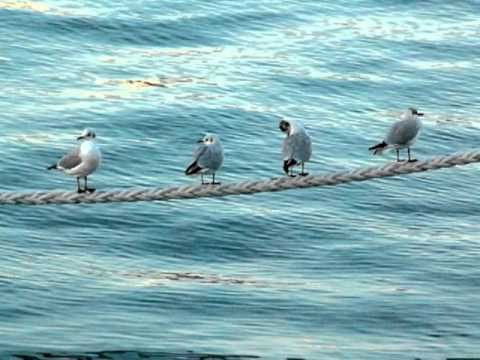 My Choice 709 - Movie Fifth Element