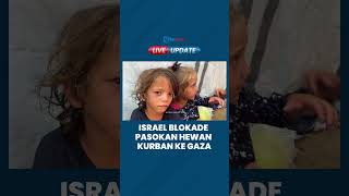 Israel Blokade Hewan Kurban ke Gaza, Ratusan Warga Tak Bisa Laksanakan Perayaan Idul Adha