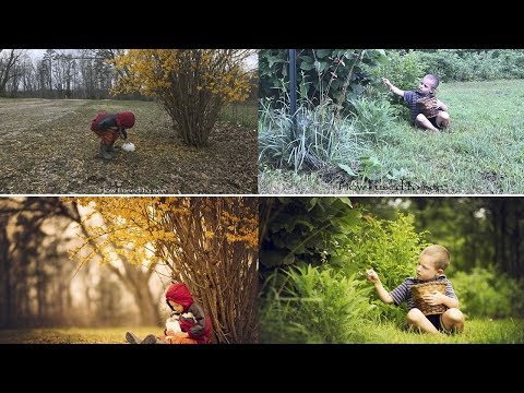 Amateur and Professional Photo difference