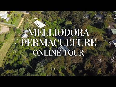 Melliodora Online Tour