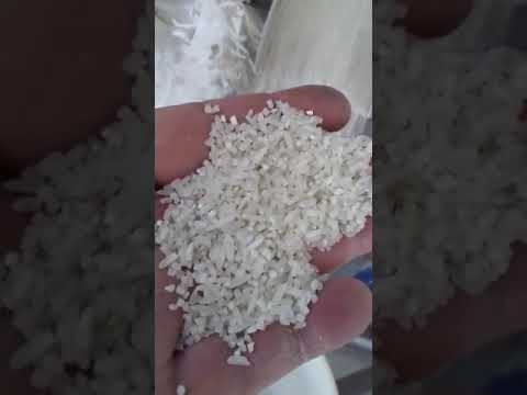 Mini Rice Mill 500 kg/hr