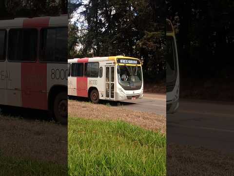 Rota real transportes em Conselheiro Lafaiete MG