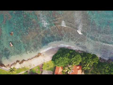 L'aupaire - Dancing In The Moonlight