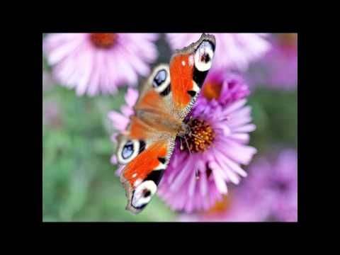 marc romboy vs blake baxter  muzik version 1