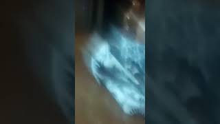 Download lagu 28 Januari 2022 mp3 Download lagu 28 Januari 2022 mp3