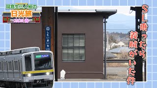 【ゆっくり旅動画】行程制作者の不手際で尺が半分くらい削られました｜同窓生三人組の日光旅 2日目
