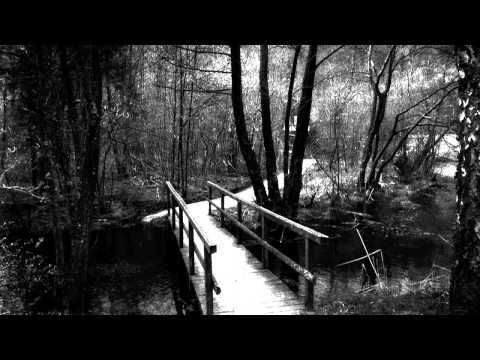 Fjaer - For this moment i said.. Farewell