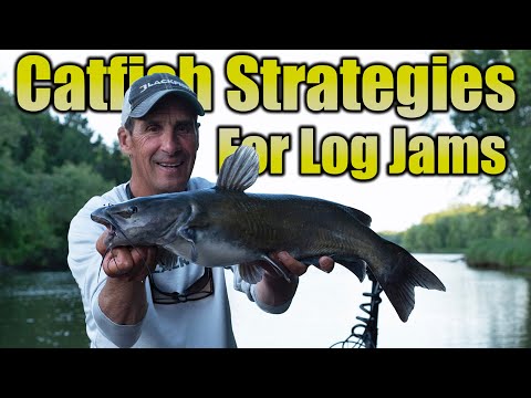 River Channel Catfish Strategies for Log Jams