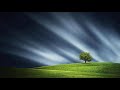 Gold in the Ground | Remembrance | John Doan