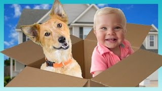 MOVING DAY! | Look Who's Vlogging: Daily Bumps
