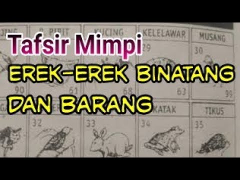 Gambar Katak Dalam Togel Kata Kata