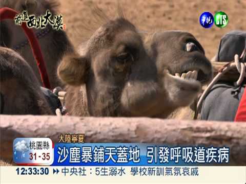 打敗沙漠創造財富 寧夏發展觀光