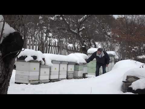 Boja meda ep. 48 05.02.2019. NAJAVA