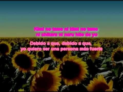 Feliz Cumpleaños Shuli 23/12/11